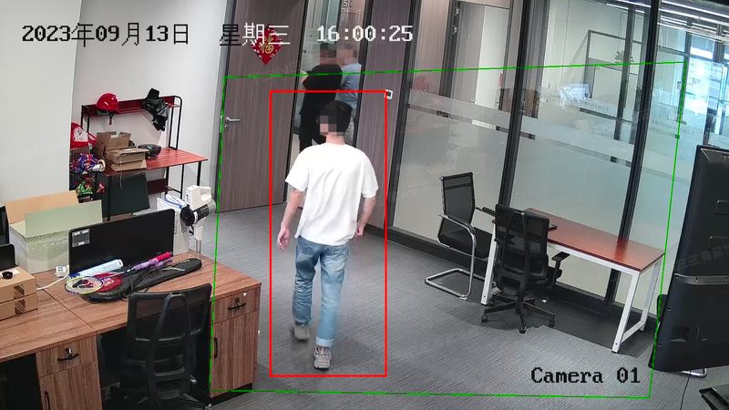 监控安装上门服务，正规公司如何选择？**