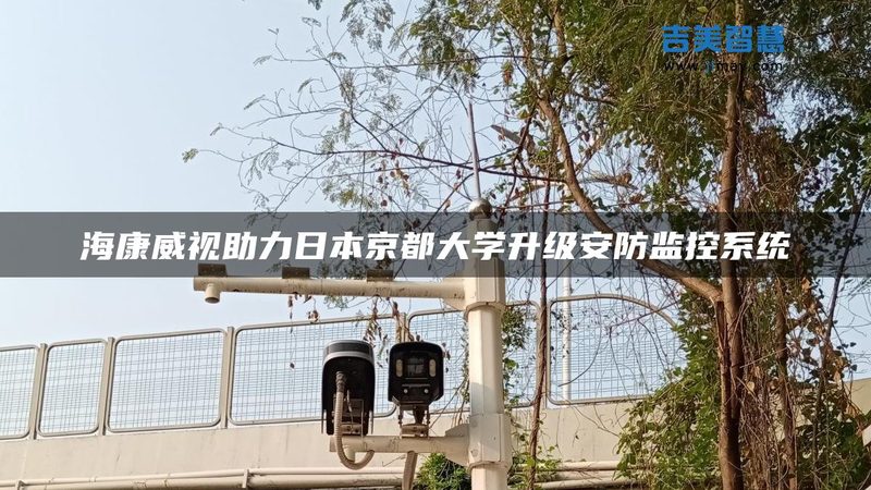 周界报警系统：批发价格背后的考量因素**